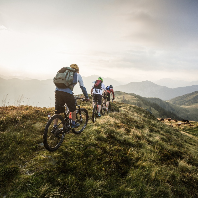 Mountainbikehotel tauernhof in flachau Österreich Bikeguides