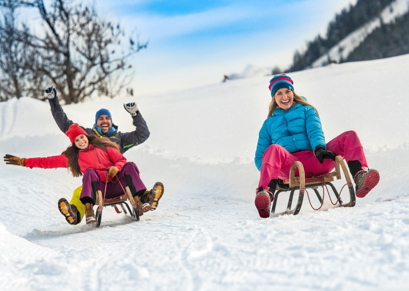 Rodeln Gruppe -flachau_mb45179