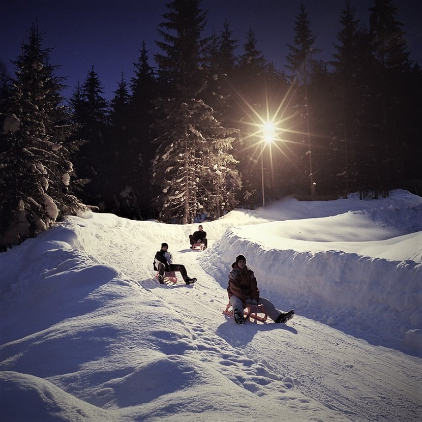 Flachau Tauernhof tobogganing at Winklalm 