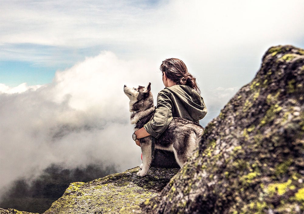 urlaub-mit-hund