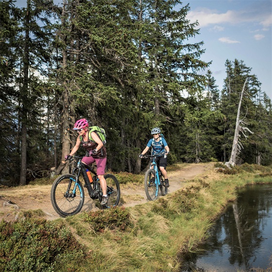 E-Mountainbike-Verleih Haibike Urlaub Österreich flachau hotel