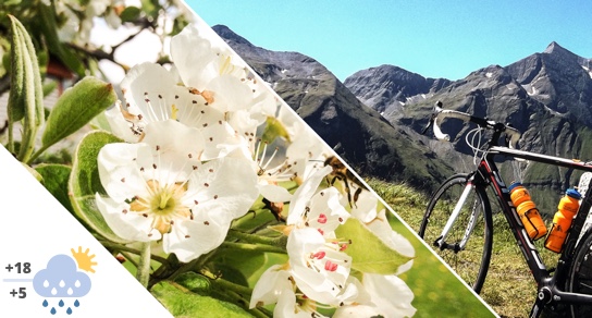 Biking in May in Flachau